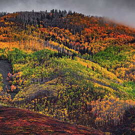Wasatch Back Autumn Colors 2, Utah by Abbie Warnock
