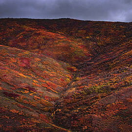 Wasatch Back Autumn Mood, Utah by Abbie Matthews