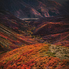 Wasatch Back Autumn Storm, Utah - Vertical by Abbie Matthews