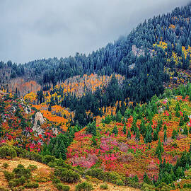 Wasatch Colors by Abbie Matthews