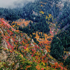 Wasatch Colors - Vertical by Abbie Warnock