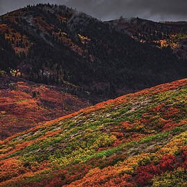 Wasatch Mountain Colors, Utah by Abbie Warnock