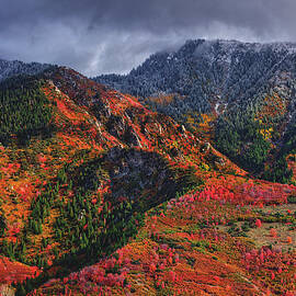 Wasatch Mountains, Transition of Seasons - Utah by Abbie Matthews