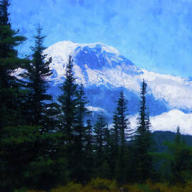 Washington, Mt Rainier National Park - 13 by AM FineArtPrints