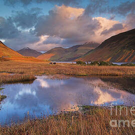 Wast water, Lake District, Cumbria, England by Neale And Judith Clark
