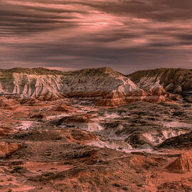 Wasteland by Matt Halvorson