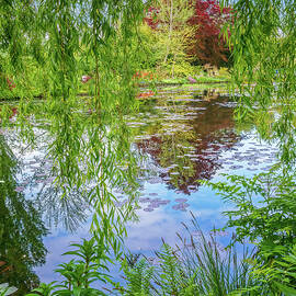 Water Garden by Steven Dos Remedios