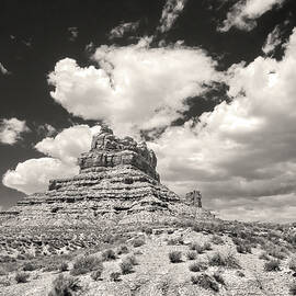 Water.  Sunscreen.  Good shoes.  by Joe Schofield