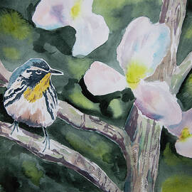 Watercolor - Yellow-throated Warbler with Magnolia by Cascade Colors