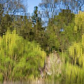Watercolour Fluid Impressions by Shankar Adiseshan