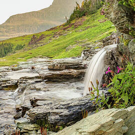 Waterfall and Flowers near Logan Pass in Glacier National Park by Nancy Gleason