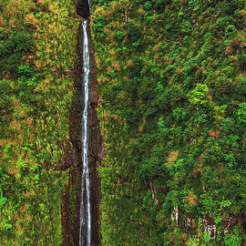 Waterfall Drop - Kauai, Hawaii - Vertical by Abbie Warnock