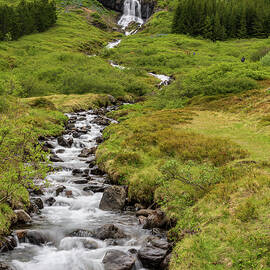 Waterfall in Tunhudalur valley near Isafjordur Iceland with lupi by Steven Heap
