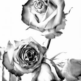 We Were.  Beautiful. by Joe Schofield