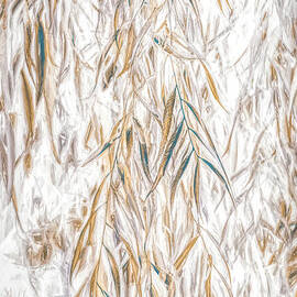 Weeping Willow Washes by Jorgo Photography