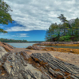 What a View by Penny Polakoff