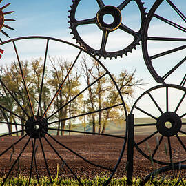 Wheels wheels wheels by Mary Lee Dereske