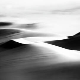When We Dreamt of Dunes by Joe Schofield