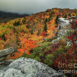 Where Color Meets Stone by Dodie Ross