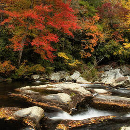 Where Color Runs Deep by Dodie Ross