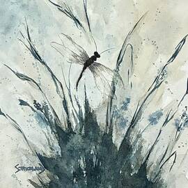 Where Dragonflies Dream by Judy Strickland