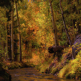 Where the Aspens Whisper by Kevin Schwalbe