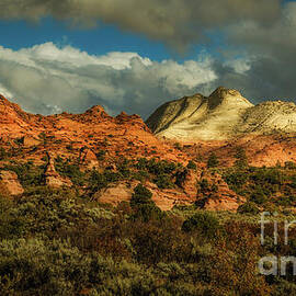 Where the Cliffs Awaken by Dodie Ross