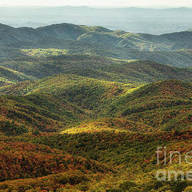 Where the Sun Settles by Dodie Ross