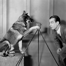 While London Sleeps Rin Tin Tin German Shepherd Silent Film Era Vintage Funny Artistic Candid by Silver Screen