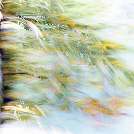 Whimsical Breeze Among Trees by Ursula Abresch