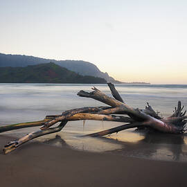 Whisper of the Tide driftwood on Hanalei bay beach at sunrise by Steven Heap