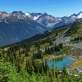 Whistsler View by Tommy Farnsworth