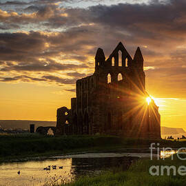 Whitby Abbey at sunset, North Yorkshire, UK by Neale And Judith Clark