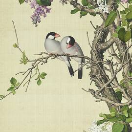 White and purple lilacs and java sparrows - Chinese flower and bird paintings, Giuseppe Castiglione by Giuseppe Castiglione Lang Shining