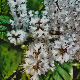 White Blossoms in Lush Greenery by Barbara Siegel