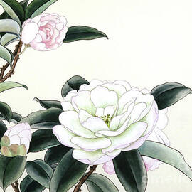 White Camellias by Ren Yu