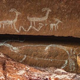 White Elk Pictographs, Nine Mile Canyon, Utah by Abbie Matthews