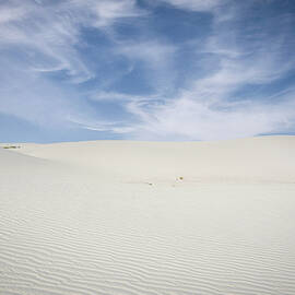White Sands Blue by Rebecca Herranen