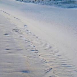 White Sands New Mexico by Tommy Farnsworth