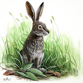 White-tailed Jackrabbit and American Elm by Don Balke