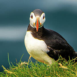 Who Me? by Jon Snyder