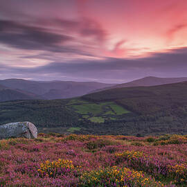 Wicklow Mountains Sunset from Paddock Hill by Adrian Hendroff