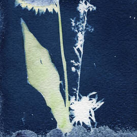 Wildflower Arrangement by Elizabeth Reich