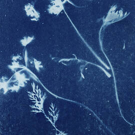 Wildflowers and Leaves Botanical by Elizabeth Reich