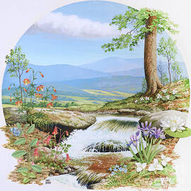 Wildflowers I by Chuck Ripper