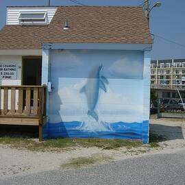 Wildwood Series - 1 by Christopher Lotito