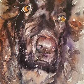 Willa by Amanda Amend