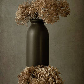 Hydrangea's - Wilted Grace by Dodie Ross