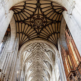 Winchester Cathedral Ceiling  by Shirley Mitchell