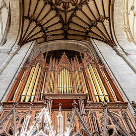Winchester Cathedral Pipe Organ by Shirley Mitchell